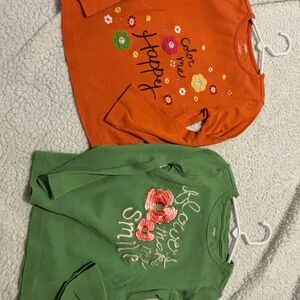 Gymboree Orange and Green Floral Long Sleeve Tees